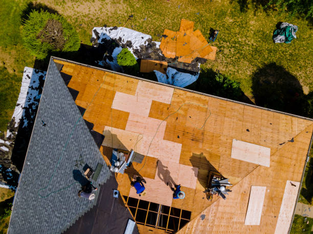 Best Roof Maintenance Services  in Rosemont, CA
