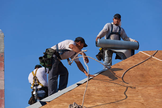 Best Roof Leak Repair  in Rosemont, CA