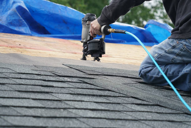 Best Roof Gutter Cleaning  in Rosemont, CA