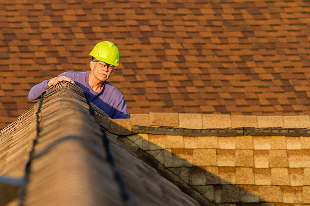 Best Local Roofing Companies  in Rosemont, CA